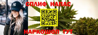 a pvp Славгород