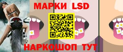 a pvp Славгород