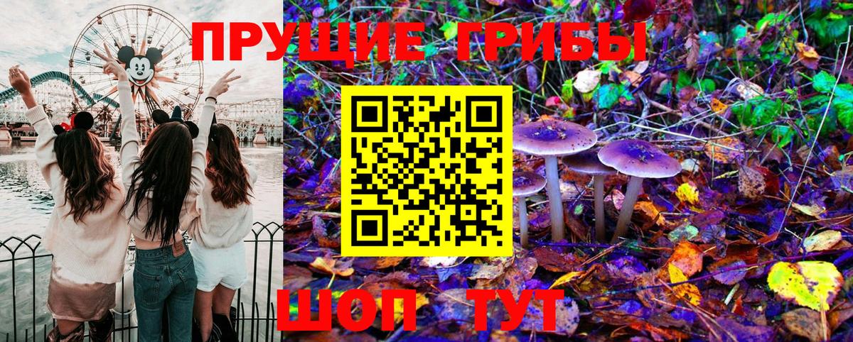 Нижнеудинск  Галлюциногенные грибы Psilocybine cubensis  где найти   Вход с VPN 