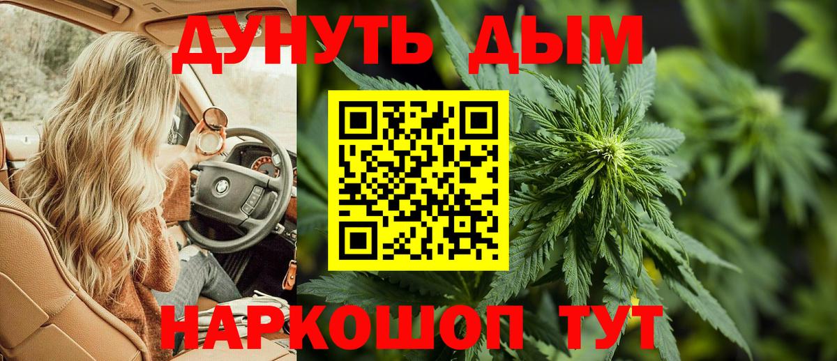 Каннабис индика Нижнеудинск